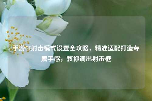 手游CF射击模式设置全攻略,精准适配打造专属手感,教你调出射击框