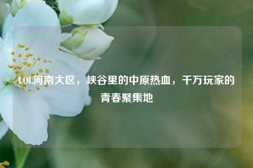 LOL河南大区,峡谷里的中原热血,千万玩家的青春聚集地
