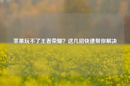 苹果玩不了王者荣耀?这几招快速帮你解决