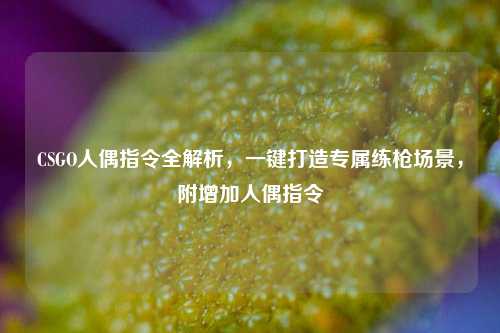 CSGO人偶指令全解析,一键打造专属练枪场景,附增加人偶指令