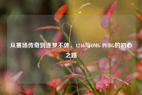 从赛场传奇到逐梦不休,1246与OMG PUBG的初心之路