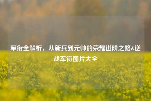 军衔全解析,从新兵到元帅的荣耀进阶之路&逆战军衔图片大全