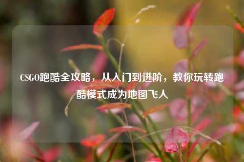 CSGO跑酷全攻略,从入门到进阶,教你玩转跑酷模式成为地图飞人