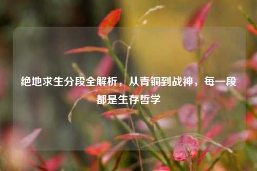绝地求生分段全解析,从青铜到战神,每一段都是生存哲学