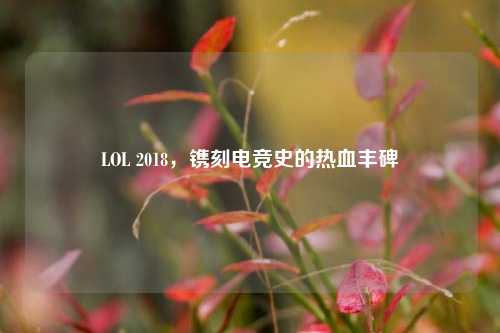 LOL 2018,镌刻电竞史的热血丰碑