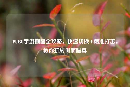 PUBG手游侧瞄全攻略,快速切换+精准打击,教你玩转侧面瞄具