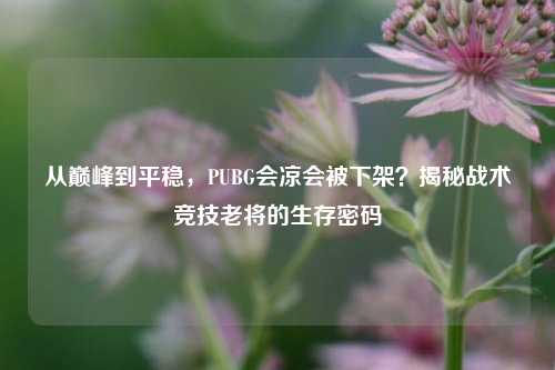 从巅峰到平稳,PUBG会凉会被下架?揭秘战术竞技老将的生存密码