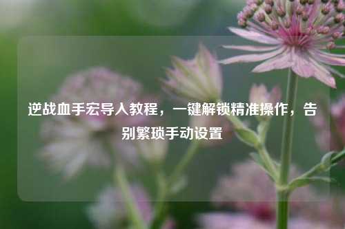 逆战血手宏导入教程,一键解锁精准操作,告别繁琐手动设置