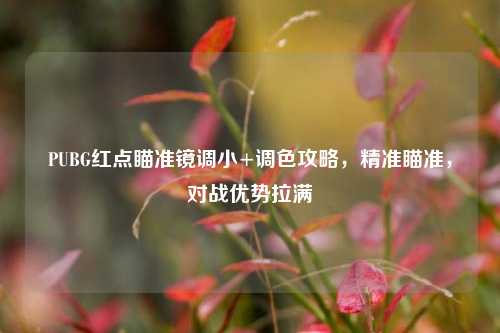 PUBG红点瞄准镜调小+调色攻略,精准瞄准,对战优势拉满