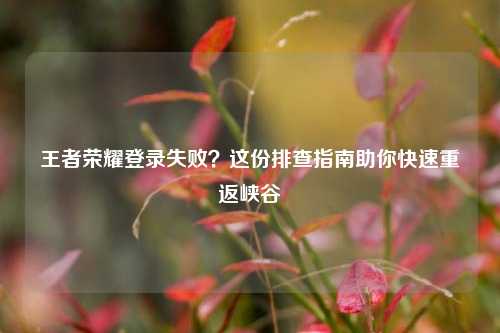 王者荣耀登录失败?这份排查指南助你快速重返峡谷
