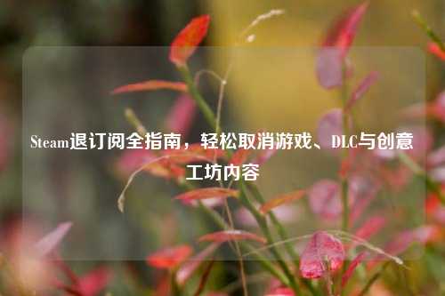 Steam退订阅全指南,轻松取消游戏、DLC与创意工坊内容