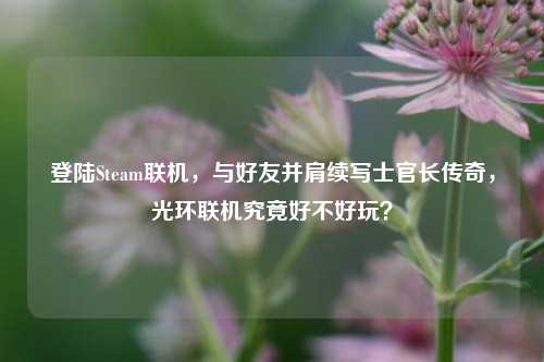 登陆Steam联机,与好友并肩续写士官长传奇,光环联机究竟好不好玩?