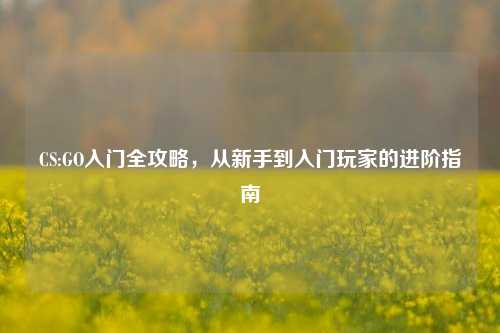 CS:GO入门全攻略,从新手到入门玩家的进阶指南
