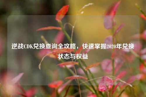 逆战CDK兑换查询全攻略,快速掌握2020年兑换状态与权益
