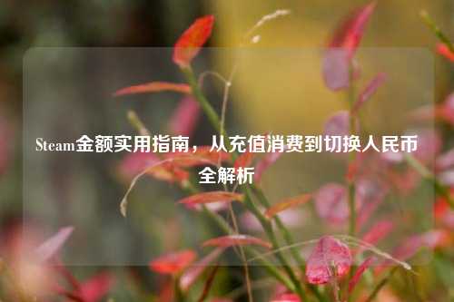 Steam金额实用指南,从充值消费到切换人民币全解析