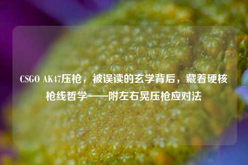 CSGO AK47压枪,被误读的玄学背后,藏着硬核枪线哲学——附左右晃压枪应对法