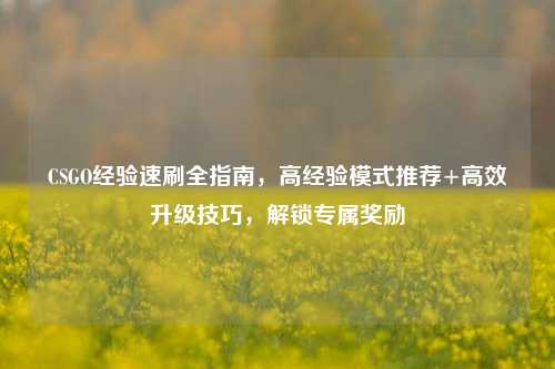 CSGO经验速刷全指南,高经验模式推荐+高效升级技巧,解锁专属奖励
