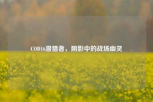 COD16潜猎者,阴影中的战场幽灵