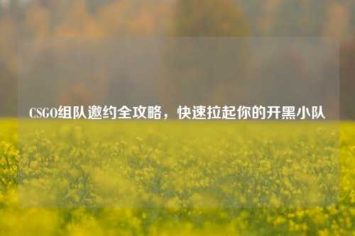 CSGO组队邀约全攻略,快速拉起你的开黑小队