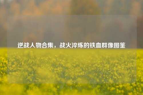 逆战人物合集,战火淬炼的铁血群像图鉴