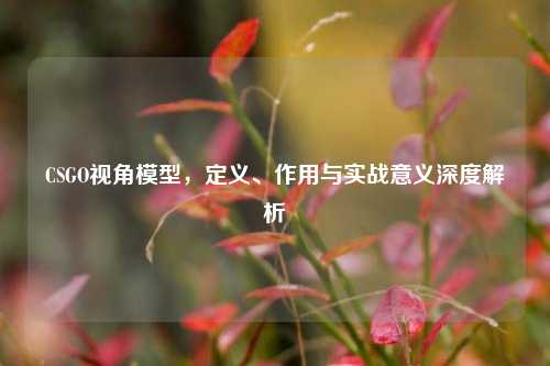 CSGO视角模型,定义、作用与实战意义深度解析