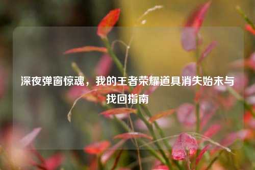 深夜弹窗惊魂,我的王者荣耀道具消失始末与找回指南