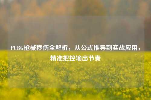 PUBG枪械秒伤全解析,从公式推导到实战应用,精准把控输出节奏