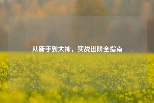 从新手到大神,实战进阶全指南
