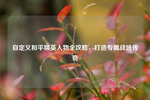 自定义和平精英人物全攻略,打造专属战场传奇