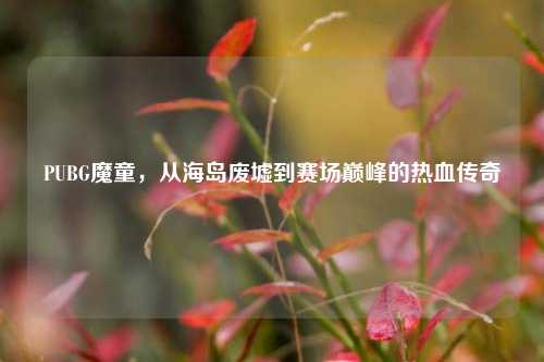 PUBG魔童,从海岛废墟到赛场巅峰的热血传奇
