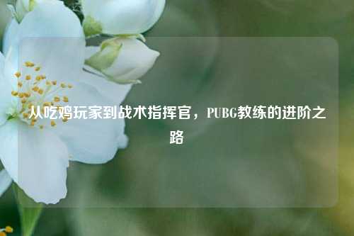 从吃鸡玩家到战术指挥官,PUBG教练的进阶之路