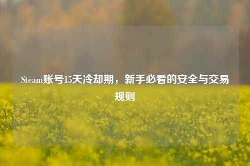 Steam账号15天冷却期,新手必看的安全与交易规则