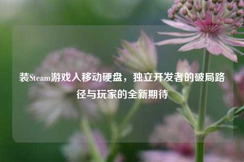 装Steam游戏入移动硬盘,独立开发者的破局路径与玩家的全新期待