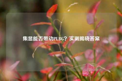 集显能否带动PUBG?实测揭晓答案