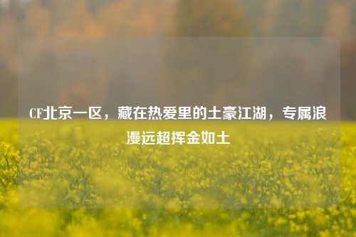 CF北京一区,藏在热爱里的土豪江湖,专属浪漫远超挥金如土