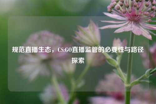 规范直播生态,CS:GO直播监管的必要性与路径探索