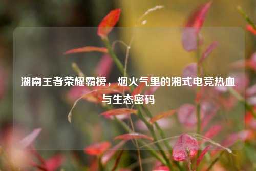 湖南王者荣耀霸榜,烟火气里的湘式电竞热血与生态密码