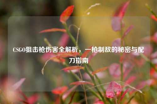 CSGO狙击枪伤害全解析,一枪制敌的秘密与配刀指南