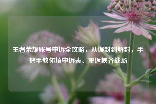 王者荣耀账号申诉全攻略,从误封到解封,手把手教你填申诉表、重返峡谷战场
