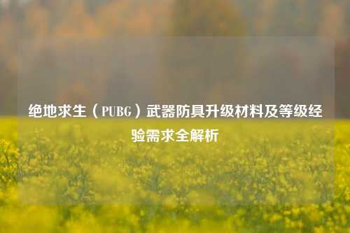 绝地求生(PUBG)武器防具升级材料及等级经验需求全解析