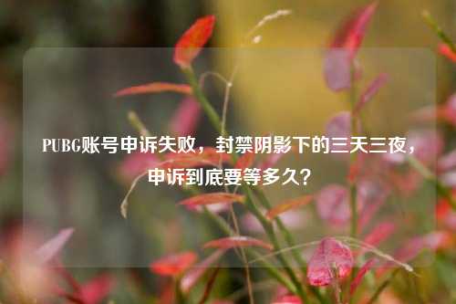 PUBG账号申诉失败,封禁阴影下的三天三夜,申诉到底要等多久?