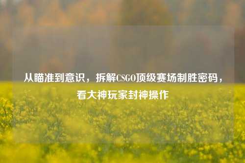 从瞄准到意识,拆解CSGO顶级赛场制胜密码,看大神玩家封神操作