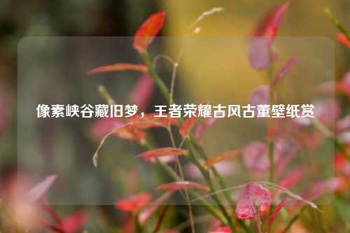 像素峡谷藏旧梦,王者荣耀古风古董壁纸赏