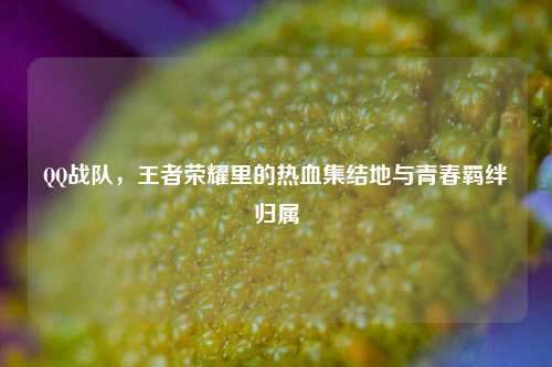 战队,王者荣耀里的热血集结地与青春羁绊归属