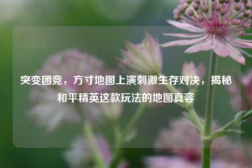 突变团竞,方寸地图上演 生存对决,揭秘和平精英这款玩法的地图真容