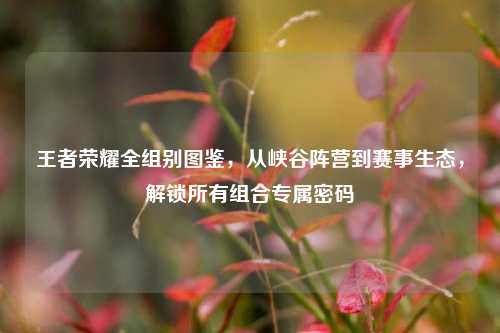 王者荣耀全组别图鉴,从峡谷阵营到赛事生态,解锁所有组合专属密码