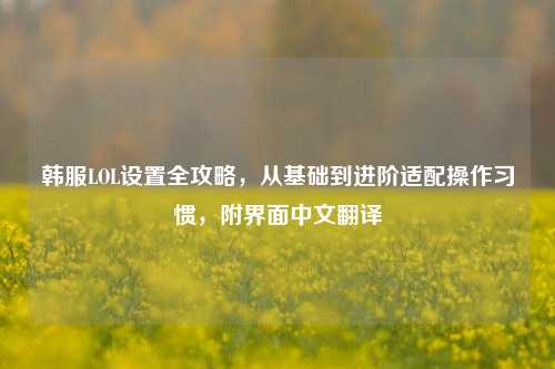 韩服LOL设置全攻略,从基础到进阶适配操作习惯,附界面中文翻译