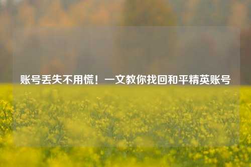 账号丢失不用慌!一文教你找回和平精英账号
