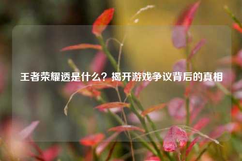 王者荣耀透是什么?揭开游戏争议背后的真相