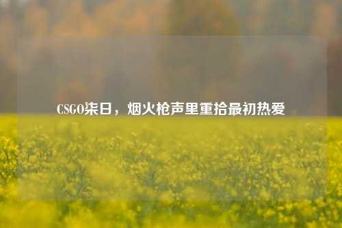 CSGO柒日,烟火枪声里重拾最初热爱